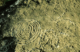 7-epona-circles2.jpg