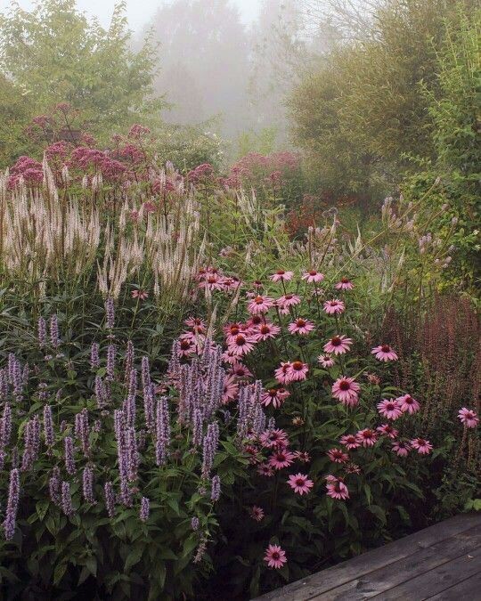 Perennial border inspiration