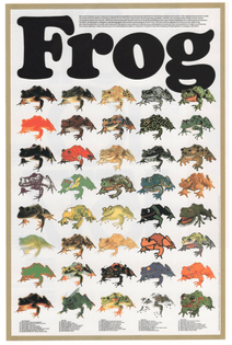 FROG poster
