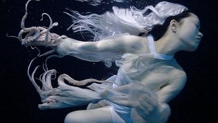 Flowers for Jeju : The Last Mermaids