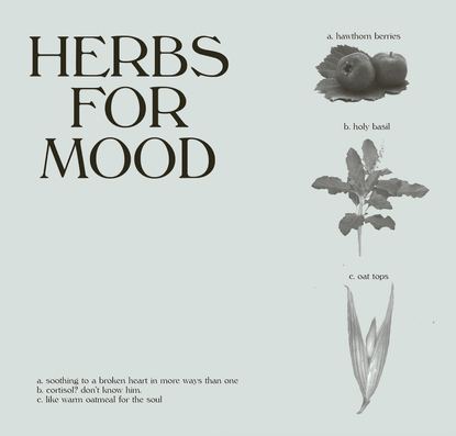Wooden Spoon Herbs on Instagram: “Herbs for relaxation; herbs for celebration. ✨⠀⠀⠀⠀⠀⠀⠀⠀⠀ ⠀⠀⠀⠀⠀⠀⠀⠀⠀ a. Hawthorn - Soothing t...
