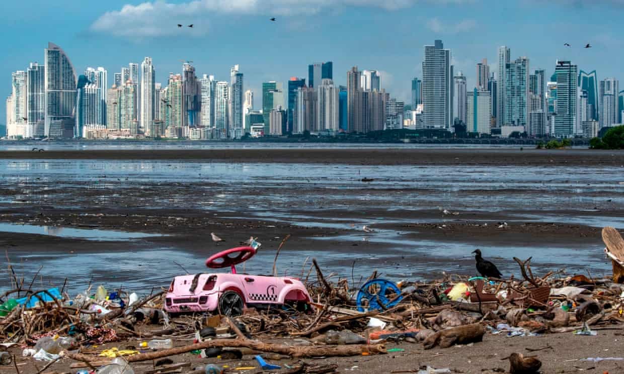 A double-crested cormorant sits amongst plastic waste at the beach of the Costa del Este neighborhood in Panama City. Photograph: Luis Acosta/AFP/Getty Images