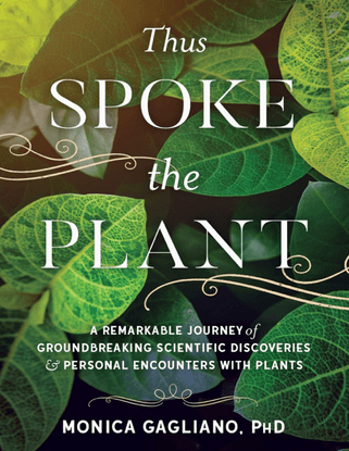 Thus Spoke the Plant - A Remarkable Journey of Groundbreaking Scientific Discoveries and Personal Encounters with Plants - Monica Gagliano