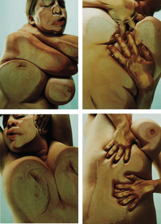 Jenny Saville and Glen Luchford's Closed Contact