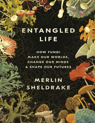 sheldrake-entangled-life.pdf