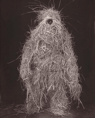 Anonymous Works on Instagram: Straw Man