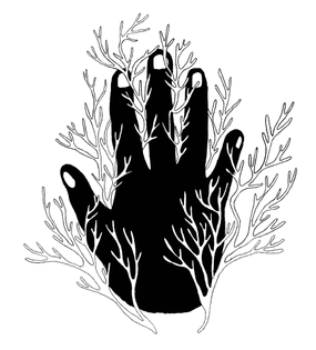 Noma Hand - Paula Troxler