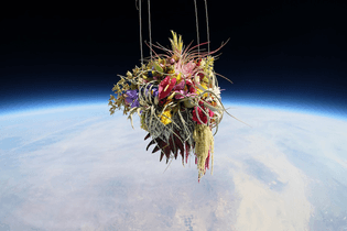 Azuma-Makoto-sends-flowers-into-space-designboom02.jpg