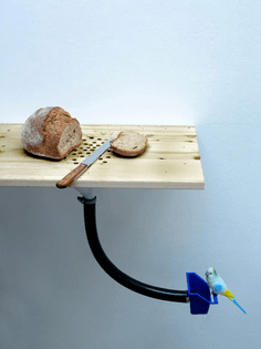 bird feeder – bread crumbs