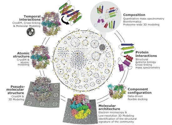 Integrative Structural Systems Biology Approach — Are.na