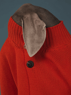 William Wegman