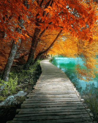 VOYAGED by 9GAG on Instagram: “Whom would you walk down this path with? 🍁 Plitvice Lakes is the most visited National Park i...