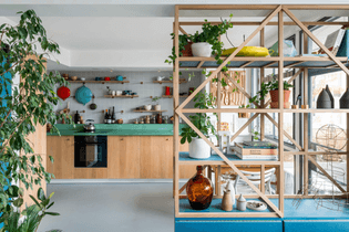 ben-allen-london-apartment-interiors-cabinet-of-experiments_dezeen_2364_col_0.jpg