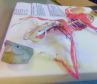 lizard-model-3d-view.jpg