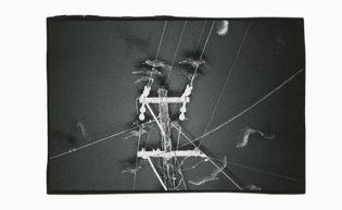 05-masahisa-fukase-solitude-of-ravens_0.jpg