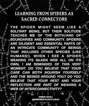 Seeding Sovereignty on Instagram: “🕷weaving self work into community care. It is true... we are so interconnected. By barely...