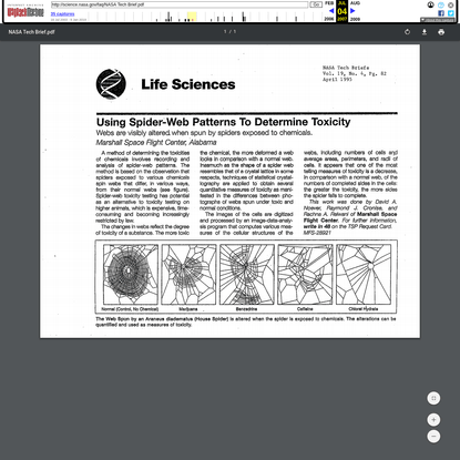 Using Spider-Web Patters To Determine Toxicity