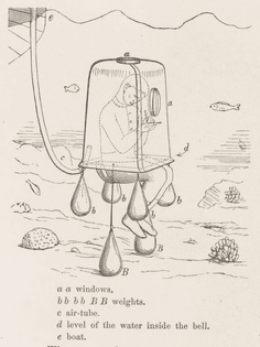 Lithograph of underwater scene Eugen Ransonnet-Villez from his Sketches of the Inhabitants, Animal Life and Vegetation in the Lowlands and High Mountains of Ceylon: As Well as of the Submarine Scenery near the Coast Taken from a Diving Bell. BIODIVERSITY HERITAGE LIBRARY/PUBLIC DOMAIN