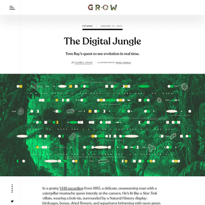 The Digital Jungle