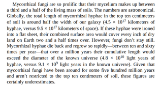 Mycorrhizal fungi are so prolific that their mycelium makes up between a third and a half of the living mass of soils.
