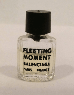 fleeting-moment.jpg