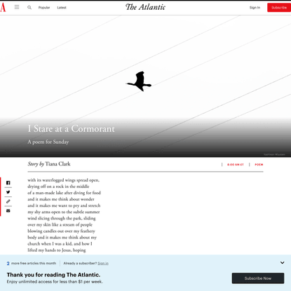 A Poem by Tiana Clark: I Stare at a Cormorant - The Atlantic
