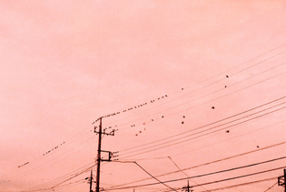 tumblr_o1sq9mIkqv1tv8bauo1_540.jpg