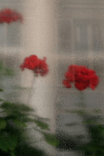 sarahvanrij-flowersinparis.jpg?mtime=20200805133709-focal=none-tmtime=20201110114539