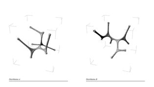 Physarum Form Finding