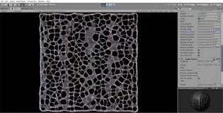 Audio Reactive Physarum Slime Mold Prototype