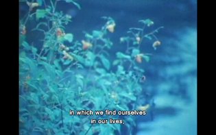 Jonas Mekas-As I Was Moving Ahead Occasionally I Saw Brief Glimpses of Beauty (Clip)