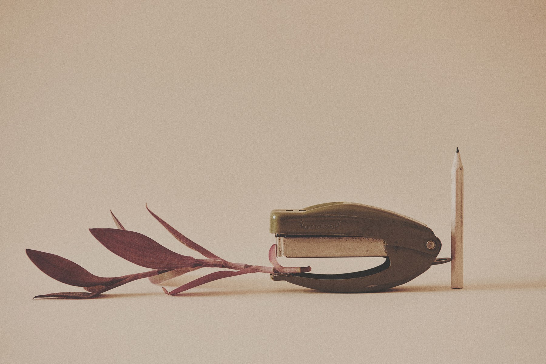 still-life-self_135.jpg
