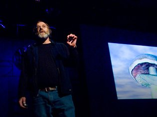 Paul Stamets: 6 ways mushrooms can save the world | Video on TED.com