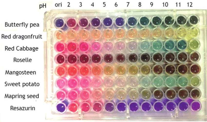 color-chart-of-anthocyanins-extracted-from-different-sources-of-plants-at-different-ph.ppm-f=1-nofb=1