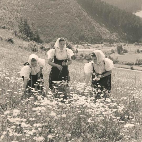 women-from-slovenia.jpg