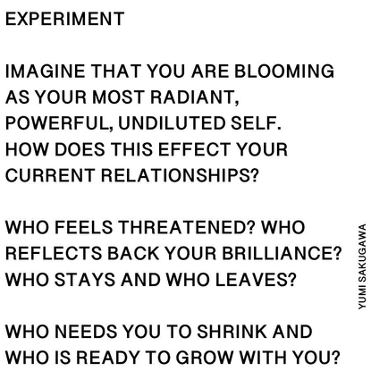 Yumi Sakugawa on Instagram: “Spirit experiment for the full moon in Leo ♌️... When I speak of power in this context, i am no...