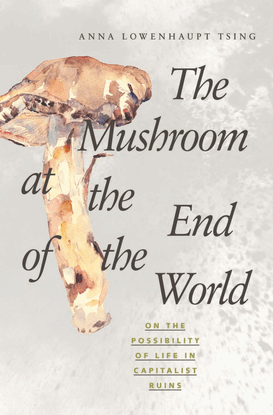 The Mushroom at the End of the World: On the Possibility of Life in Capitalist Ruins - Anna Lowenhaupt Tsing 