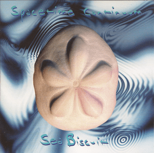 Spacetime Continuum, Sea Biscuit, 1994