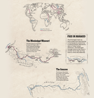 See which of the world’s 10 longest rivers still run free