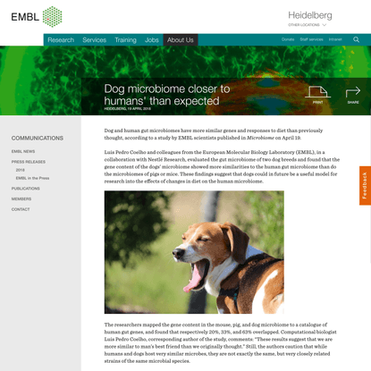Dog microbiome closer to humans’ than expected - Press Release - EMBL