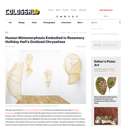 Human Metamorphosis Embodied in Rosemary Holliday Hall’s Oxidized Chrysalises