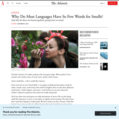 Why Do Most Languages Have So Few Words for Smells?