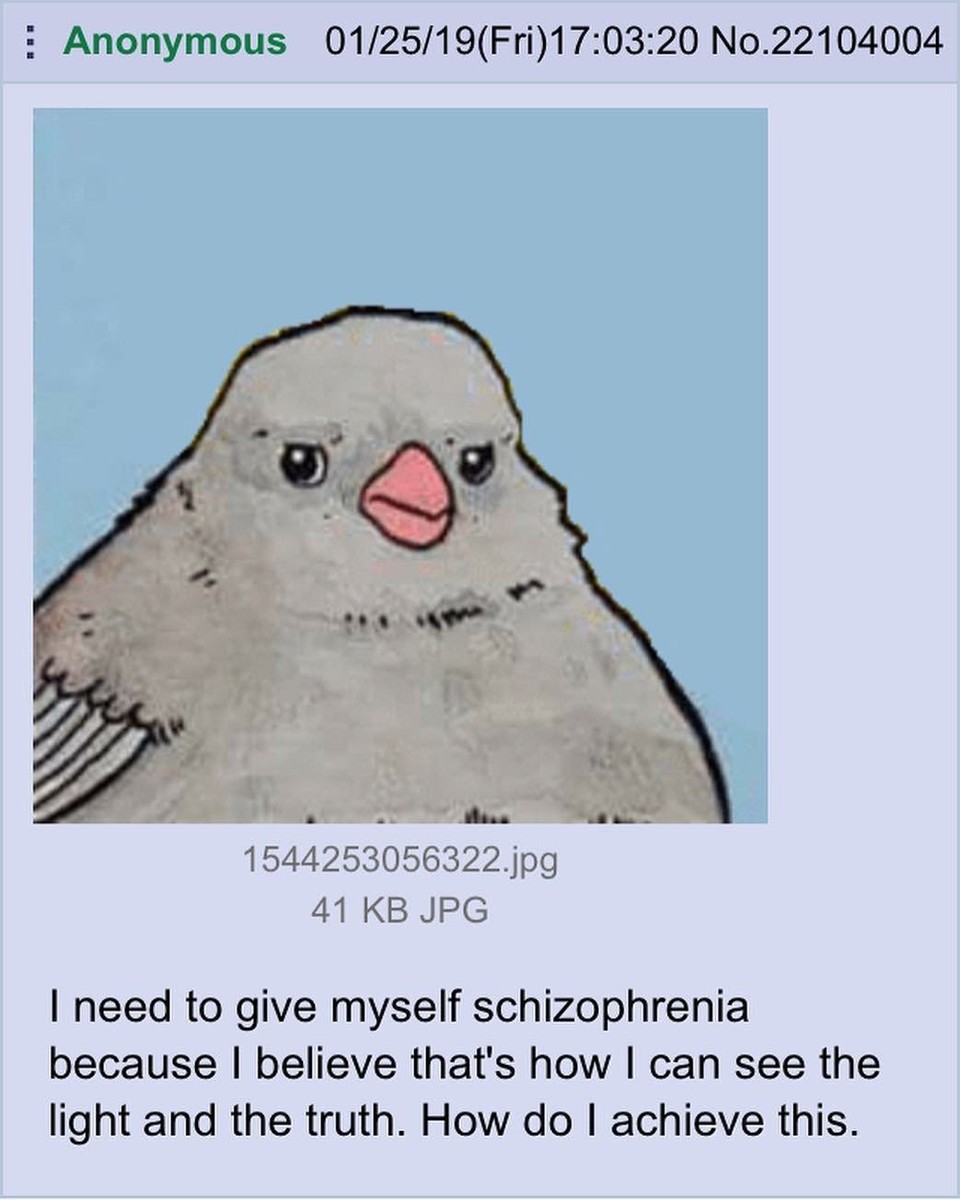 Needed meme. How do i develop Schizophrenia Мем. Jpeg memes. How do i develop Schizophrenia meme.