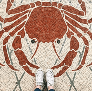 Floor Tile Crab