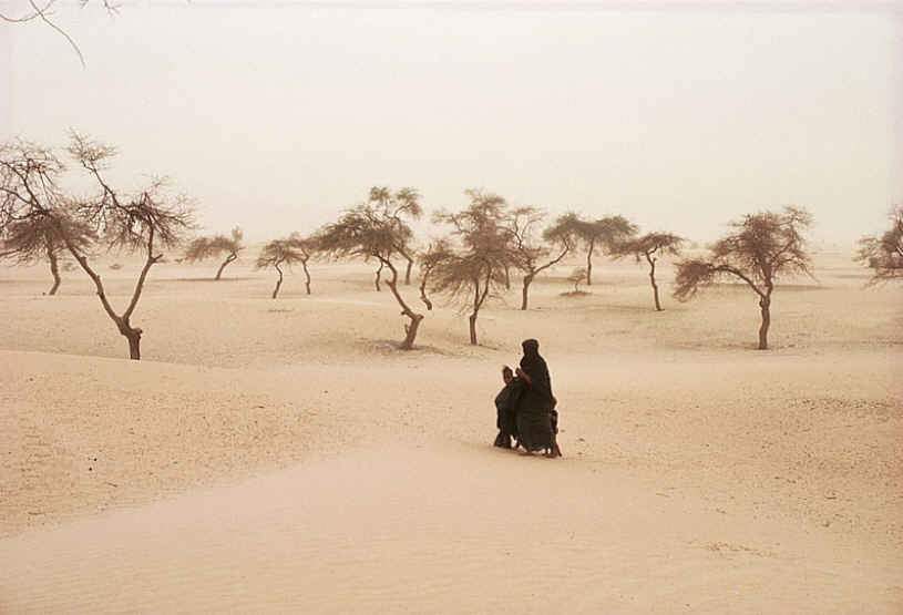 windblown.dust.Timbuktu.Mali.jpg