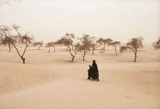 windblown.dust.Timbuktu.Mali.jpg