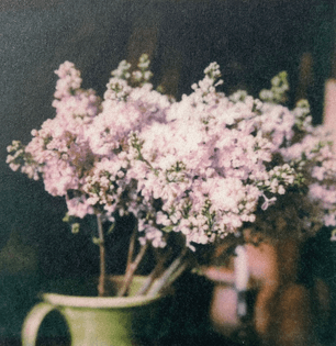 francois-halard_flowers.jpg