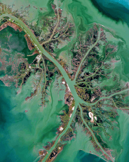 “The Mississippi River Delta is the confluence of the Mississippi River with the Gulf of Mexico off the southern tip of Louisiana, USA. It is the nation’s largest drainage basin and the seventh largest river delta on Earth, containing more than 4,200 square miles (11,000 square kilometers) of coastal wetlands. Its current shape, described as a “bird-foot delta” reflects the dominance the river exerts over other hydrologic and geologic forces in the northern Gulf of Mexico.”