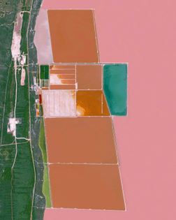 “Hutt Lagoon is a massive lake in Western Australia that gets its pink color from a particular type of algae — Dunaliella salina — that grows in the water. The lagoon contains the world’s largest microalgae production plant, where the algae is farmed for its beta-carotene and then used as a food‑coloring agent and source of Vitamin A in other products. Hutt Lagoon also provides a commercial supply of Artemia brine shrimp, a specialty feed used by prawn and fish farmers and in the aquarium fish trade.”