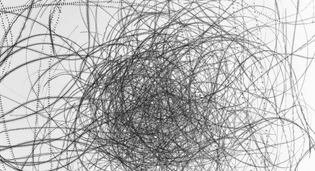 web_ydray-ornitography_169.jpg